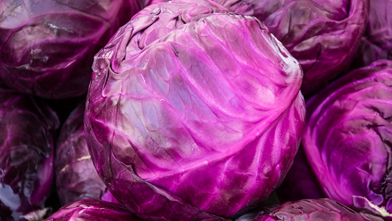 Red cabbage colour