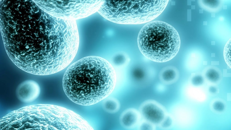 3D Cell Culture Market: Industry Trends, Market Segments, Landscape, Analysis and Forecast – 2027