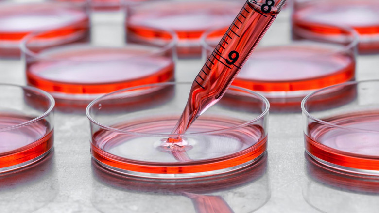 Applications of Cell Culture