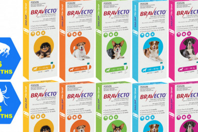 BRAVECTO Spot ON for Dogs Tick and Flea Prevention 2 Pipettes