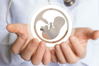 How does the egg donation process work?