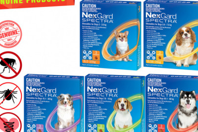 NEXGARD SPECTRA 3 Chews for Dogs Flea and Worm Prevention