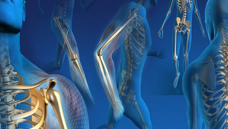 Orthopedic Trauma Devices Market 2022: Size, Share, Analysis and Forecast-2027