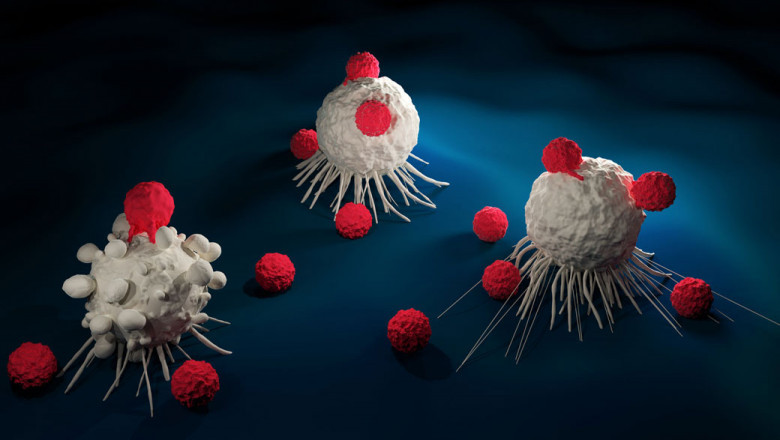 Possible CAR T-cell therapy side effects