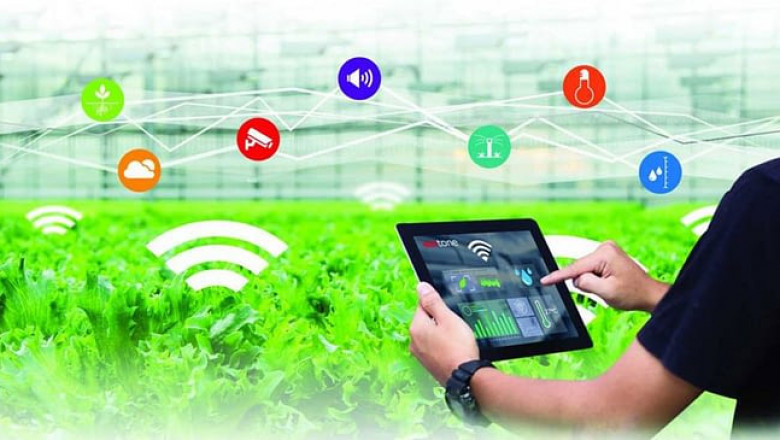 The Agriculture Industry Is Being Transformed By The Internet Of Things
