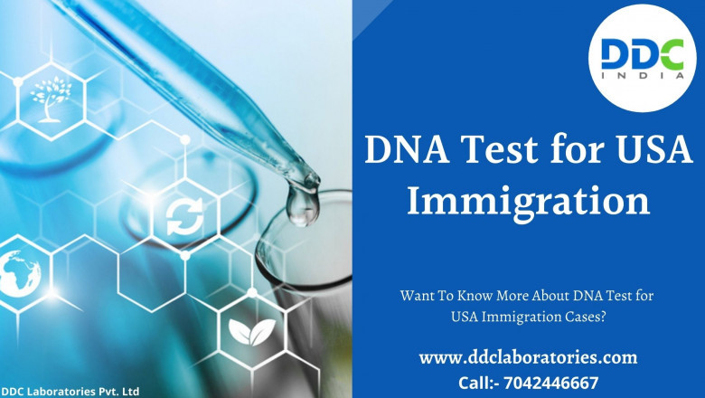 Want To Know More About DNA Test for USA Immigration Cases?