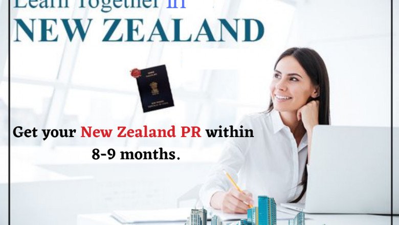 Which is the best visa option for New Zealand immigration?
