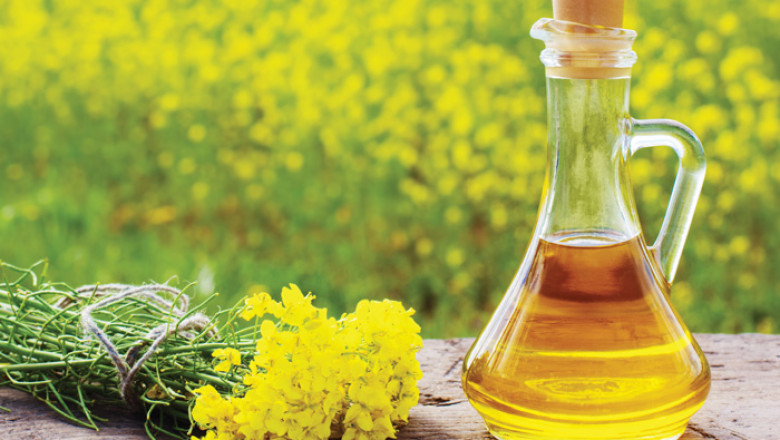 Canola Protein Market Revenue Growth Report Analysis At Regional & Country Level Upto 2027