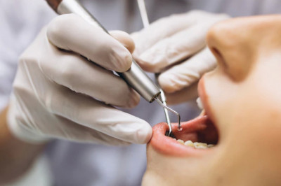 Recently Updated List of Orthodontists in USA