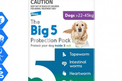 The Big 5 Protection Pack 6 chews for Dogs 22 to 45 Kg Purple Pack