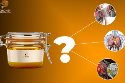 Is Bee Honey A Beneficial Option To Treat Cystic Fibrosis?