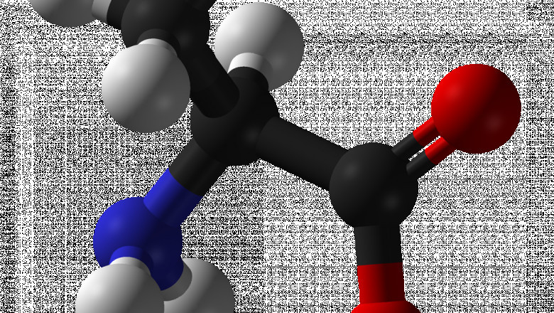 L-alanine Market Promising Growth Opportunities and Forecast 2028