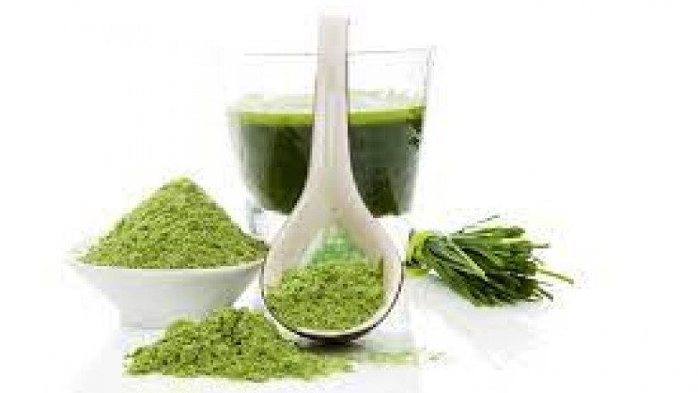 Some Myths and Facts about Super Green Powders