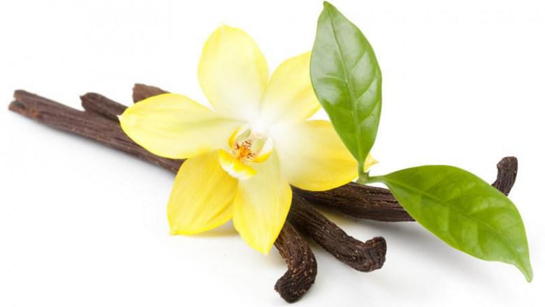 Vanillin Market Overview