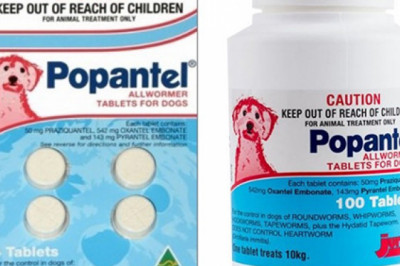 Popantel Allwormer For Dogs 10 Kg | DiscountPetCare