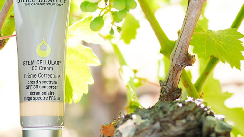 4 Reasons to Use Vegan and Cruelty-Free Makeup