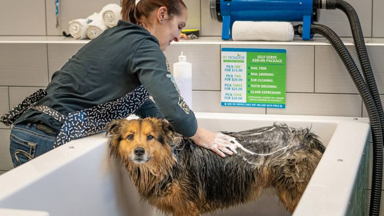 A WHOLE NEW BREED OF ANIMAL FRANCHISE OPPORTUNITY