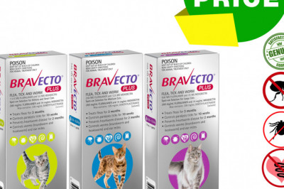 BRAVECTO PLUS for Cats Flea, Tick and Worm Prevention