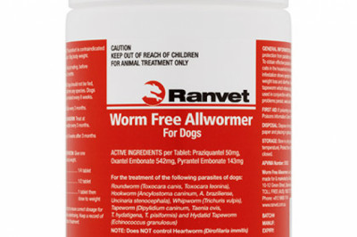 Buy Ranvet Allwormer For Small Dog 10 Kg | DiscountPetCare