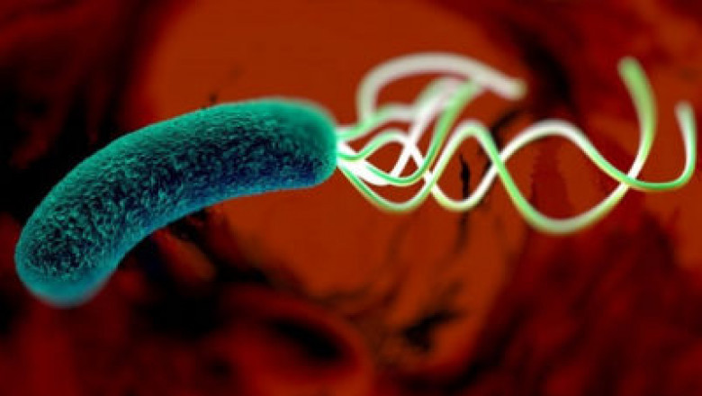 H. Pylori Test Market, Get Market Research, Business Risk & Industry Analysis Reports 2027