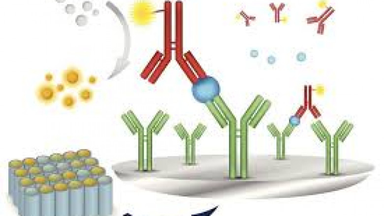 Immunoassay Market Size Research Report- Forecast till 2027