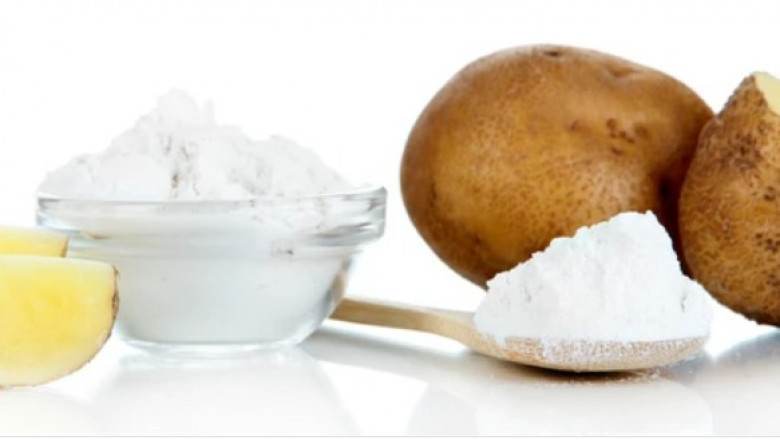 Starch Recovery Systems Market Size And Key Trends In Terms Of Volume And Value 2026