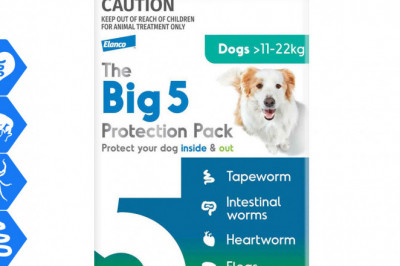 The Big 5 Protection Pack 6 chews for Dogs 11-22 Kg Green Pack
