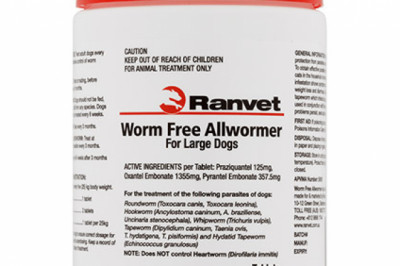 Buy Ranvet Allwormer For Large Dog 25 Kg | DiscountPetCare