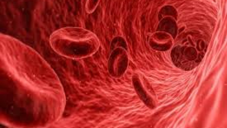 Host Cell Protein Testing Market - Global Industry Growth and Forecast – 2027