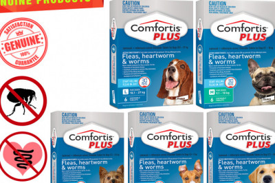COMFORTIS PLUS for All Sizes Dogs 6 Chews Flea Heartworm Control