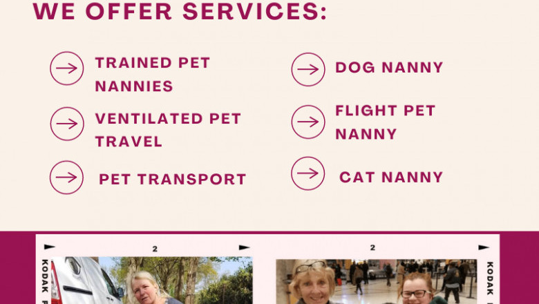 Dog Nanny in USA | In Cabin Puppy