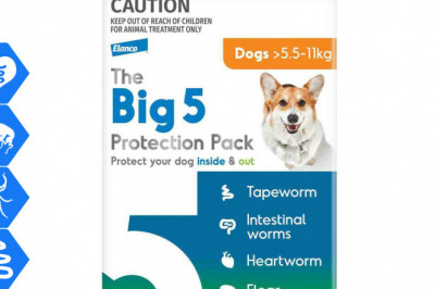 The Big 5 Protection Pack 6 chews for Dogs 5.5-11 Kg Orange Pack