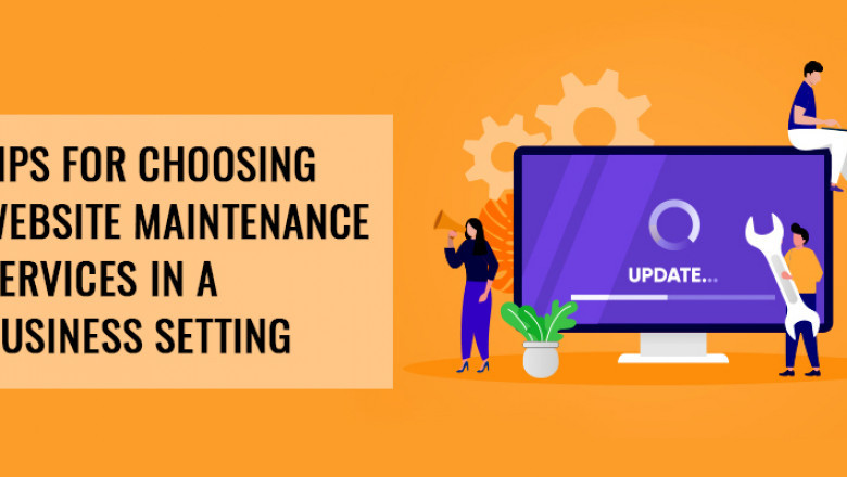 Tips for Choosing Website Maintenance Services in a Business Setting