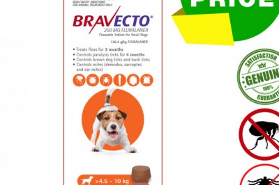 BRAVECTO 2 Chews for 4.5 to 10 Kg Dogs 3 months Tick and Flea Protection