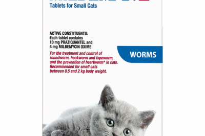 Cat Supplies | Discount Cat Foods, Products & Accessories Online