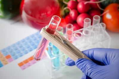 Food Safety Testing Market Key Findings, Regional Study, Size, Growth and Global Trends by Forecast to 2028