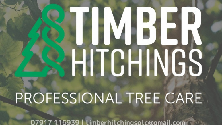 Reasons for Hiring Expert Tree Removal Services