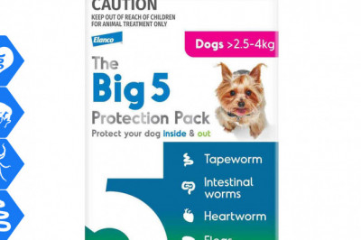 The Big 5 Protection Pack 3 chews for Dogs 2.5-4 Kg Pink Pack