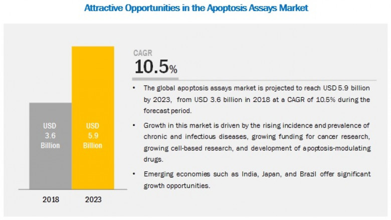 Apoptosis Assays Market Worth USD 5.9 billion by 2023 : Growing Cell-based Research