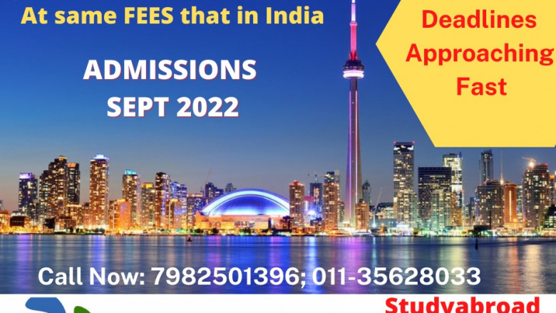 Best Countries to Study Abroad