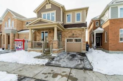 Homes for Rent in Brampton