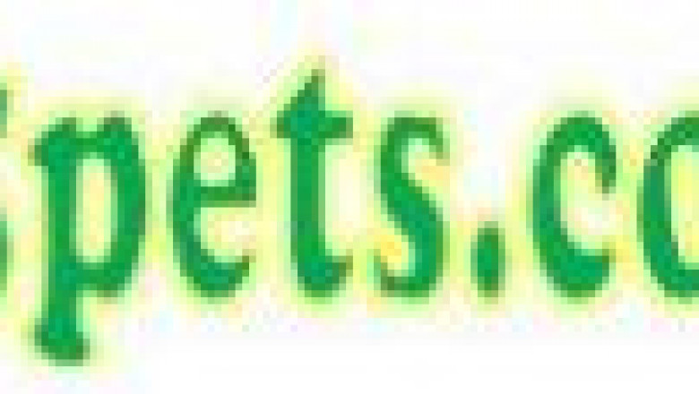 Puppies for Adoption Billingsley