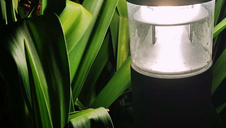 Best Solar Post Lights Reviews In 2021 (Updated)