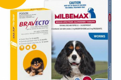 Bravecto Spot On + Milbemax Combo Packs For Dogs