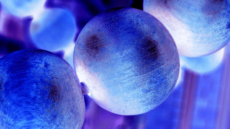 Industrial Enzymes Market Statistics, By Application, Production, Revenue &amp; Forecast To 2022-2030