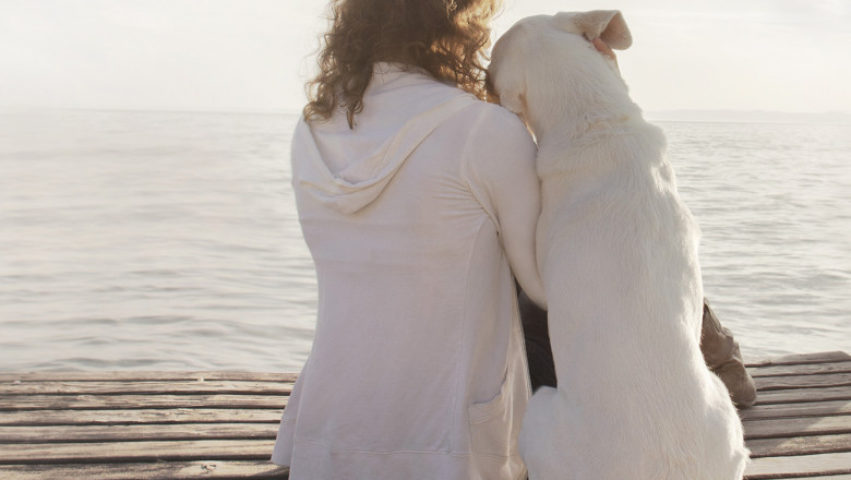 What exactly can you gain from an emotional support animal?