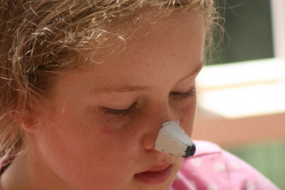 5 Things To Know About The Nose Craft