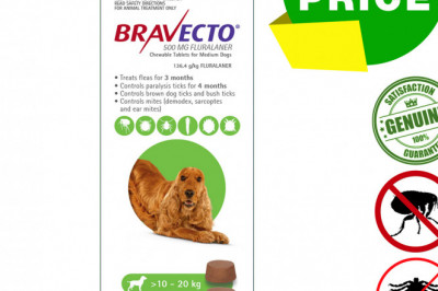BRAVECTO 2 Chews for 10 to 20 Kg Dogs 3 months Tick and Flea Protection