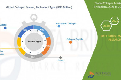 Collagen Market Size, Share, Trends, Demands, Insights and Forecast by 2028- COBIOSA, GELNEX, Nippi Collagen NA Inc., ET-Chem