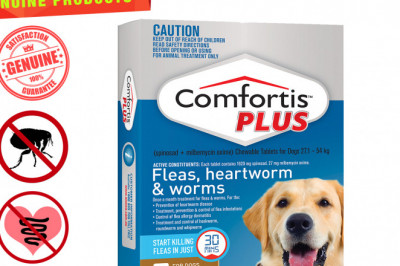 COMFORTIS PLUS for 27.1 to 54 Kg Dogs 6 Chews Flea Heartworm Control